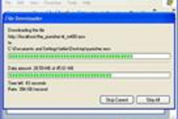 File Downloader预览：